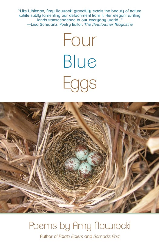 Four Blue Eggs