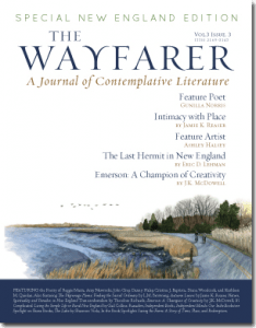 The-Wayfarer_Vol-3_Iss_3_cov_sm-234x300