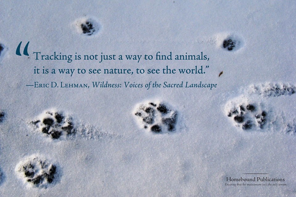 erics wildness quote