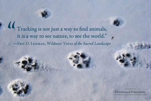 erics wildness quote