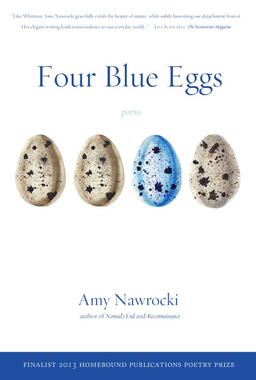 Four Blue Eggs Cover Second Edition-final