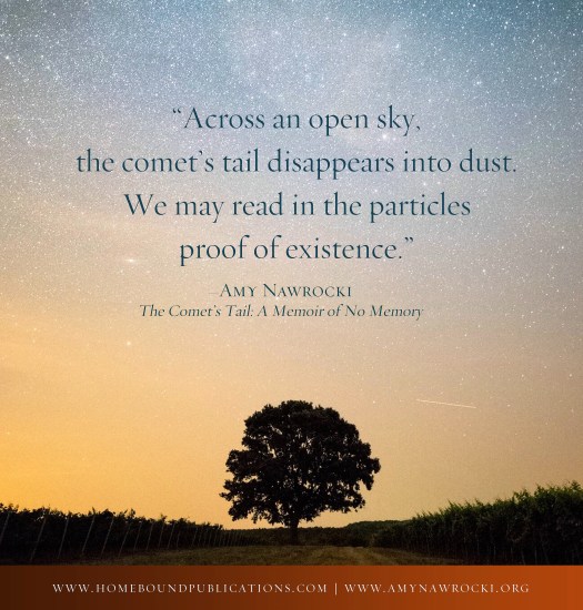 Nawrocki Broadside 2 (2)