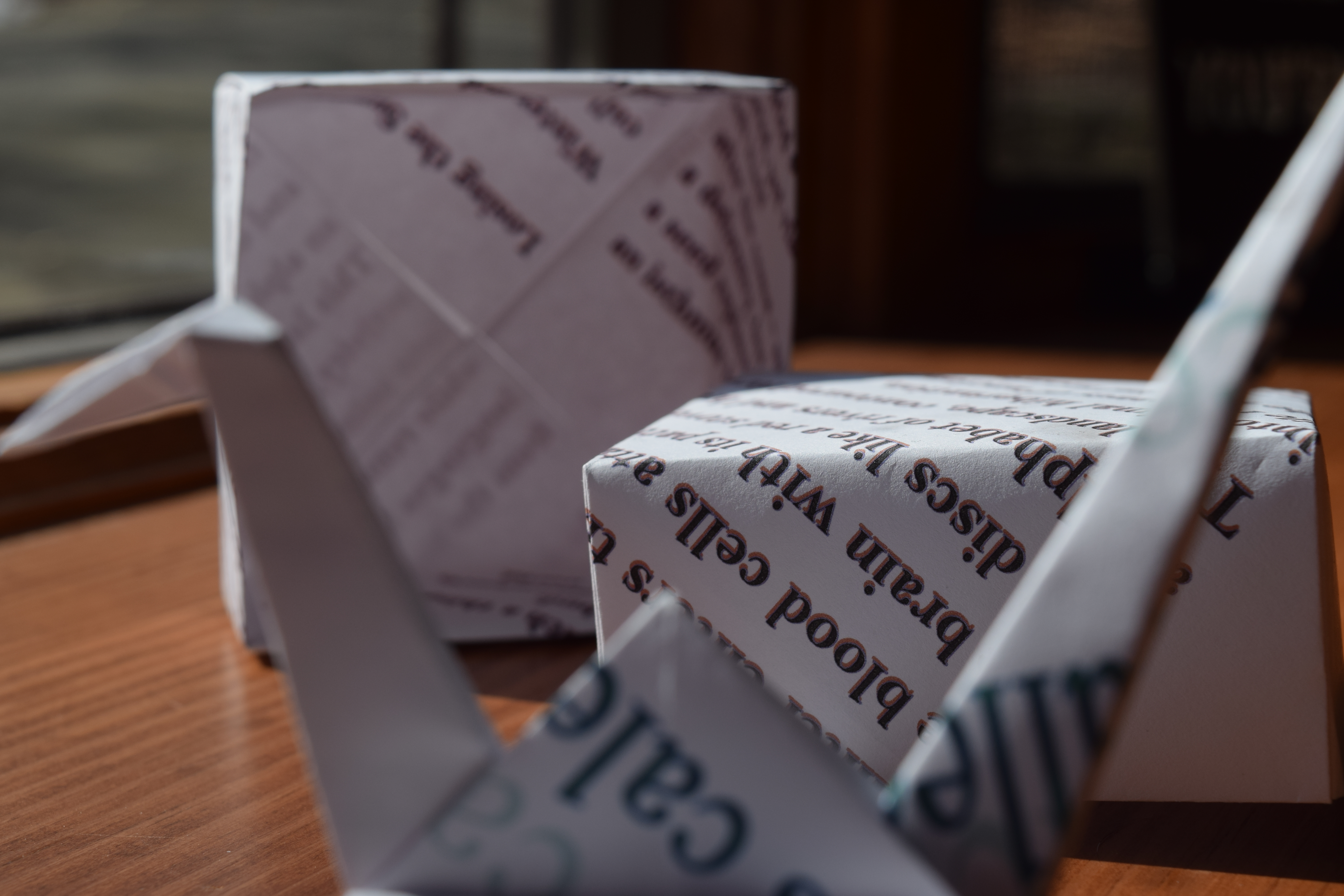 017 origami box close up w crane.JPG