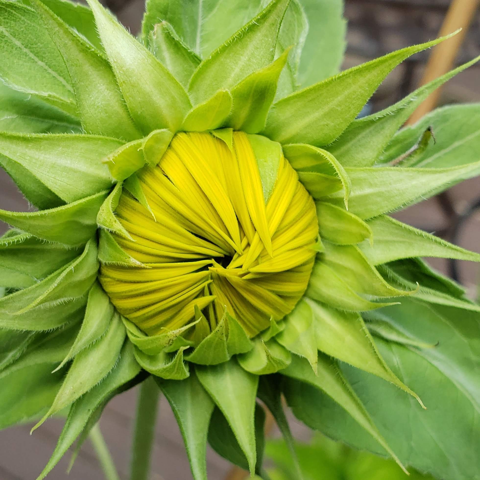 img_20180717_110132_894