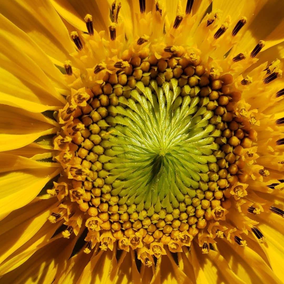 img_20180719_182951_131